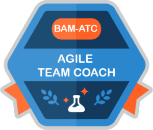agile coach
